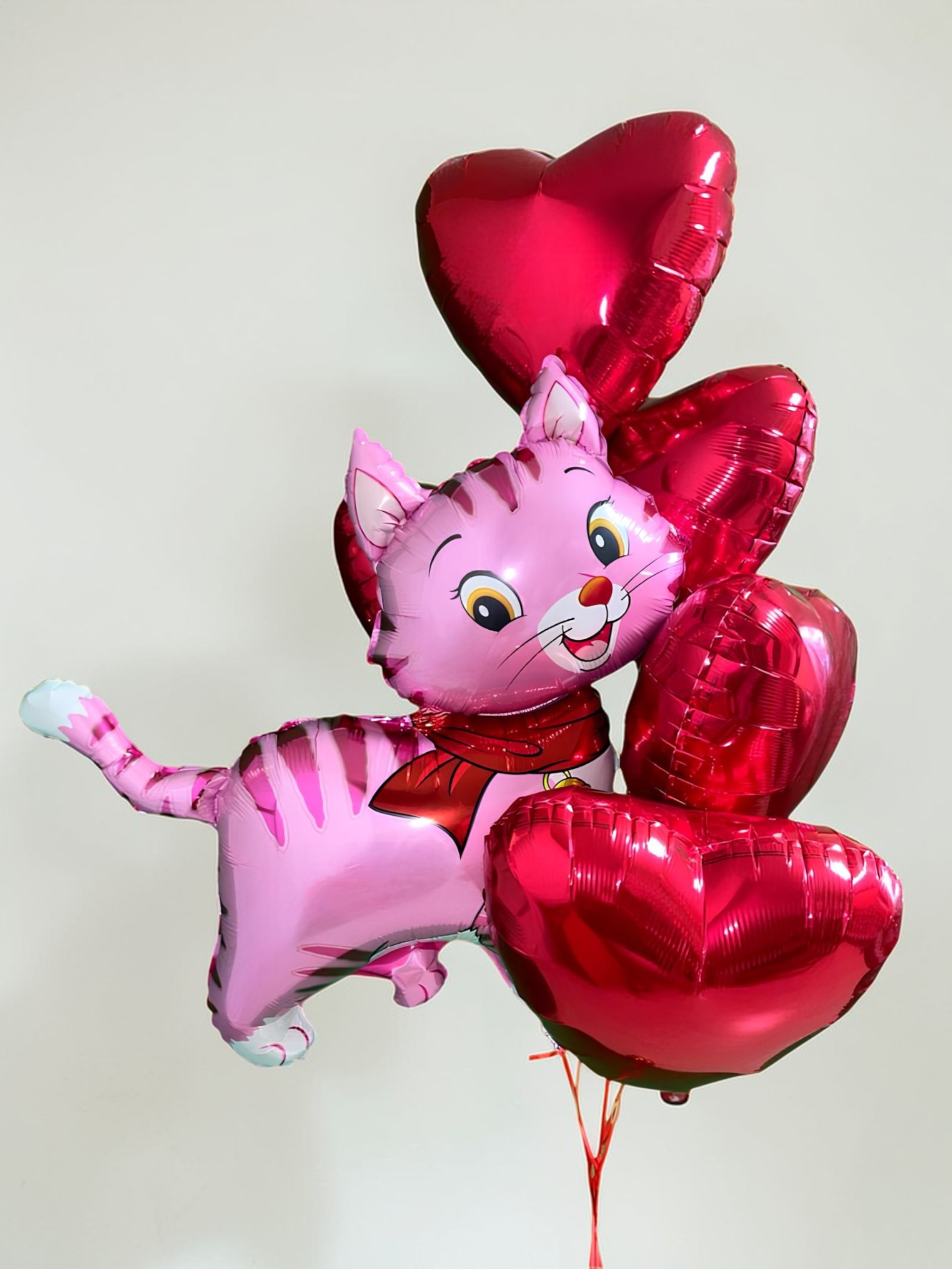 Котик с шариками